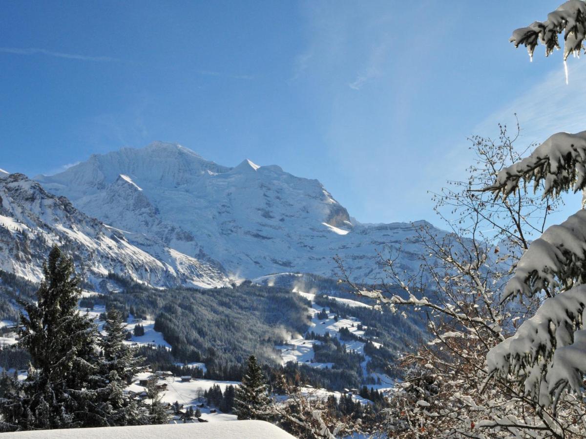 Apartment Melodie By Interhome Wengen Exterior photo